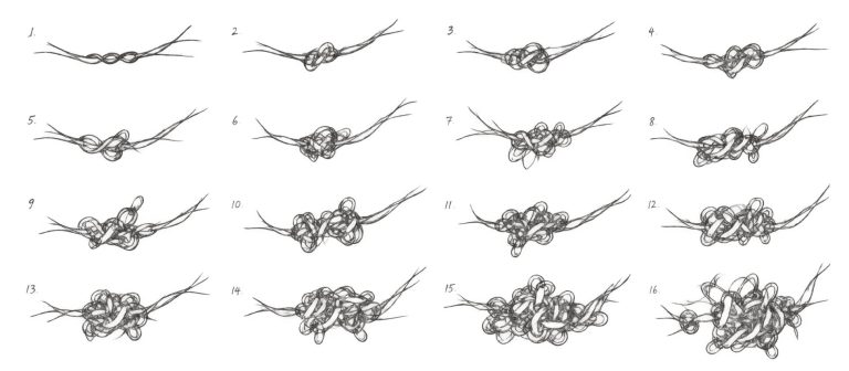 Nine voices of the willow